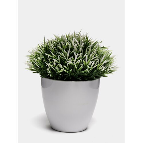 белый, зеленый