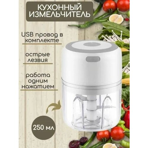 Измельчитель кухонный электрический беспроводной 51700₽