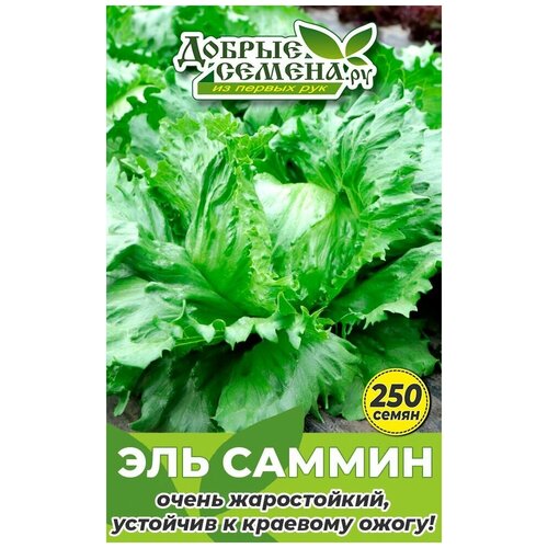 семена салата каббура 250 шт добрые семена ру Семена салата Эль Саммин - 250 шт - Добрые Семена. ру