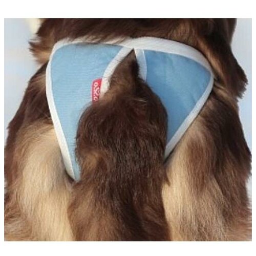 OSSO Fashion Трусы для собак многоразовые ABSORB, размер XL обхват талии 40-58 см, глубина 47 см.