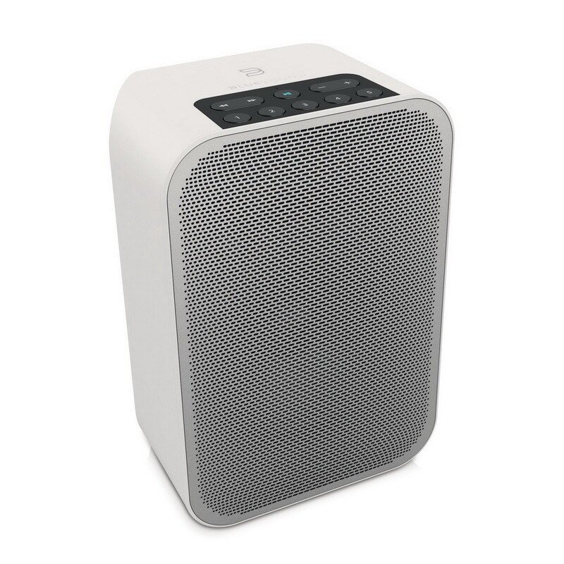 Портативная акустика Bluesound PULSE FLEX 2i 25 Вт — фото 1