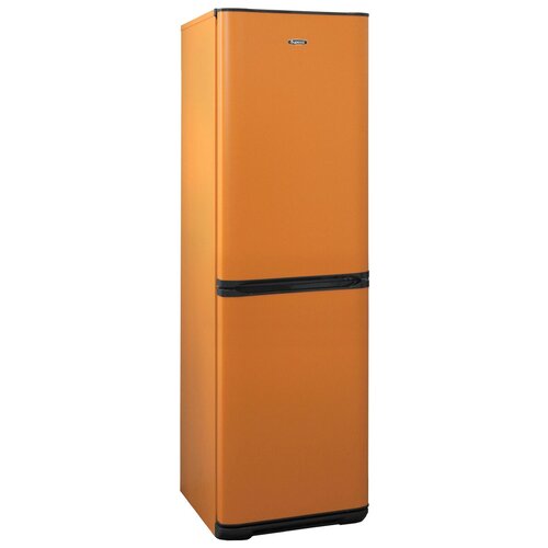 Холодильник Бирюса T631, оранжевый
