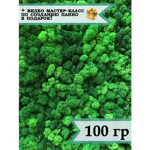 Стабилизированный мох ягель 100 гр зеленый / лесной мох для декора, озеленения и дизайна / растение для поделок сделай сам из природных материалов