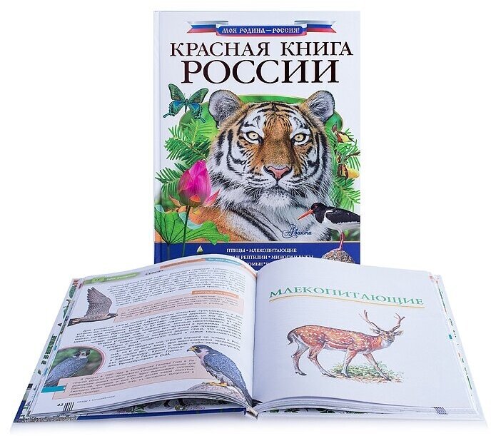 Красная книга России (Пескова И.М., Дунаева Ю.,Новичонок А., Полякова Н., Валуйский М., Снегирёва Е.) - фото №18