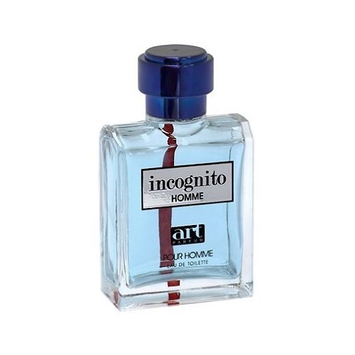 Art Parfum туалетная вода Incognito Homme, 100 мл, 100 г art parfum incognito homme men 100 ml edt