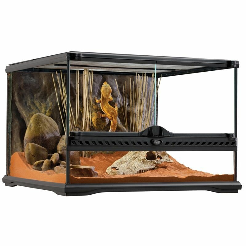 Террариум EXO TERRA Natural Terrarium Small из силикатного стекла (45х45х30см) PT2603 - фотография № 5