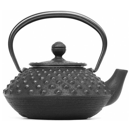 фото Чугунный чайник iwachu для чайной церемонии 0,35л черный