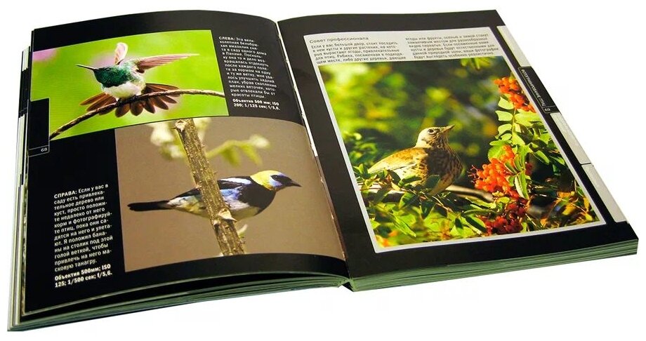 Птицы в кадре. Самое полное практическое руководство по фотоохоте на птиц с цифровой фотокамерой - фото №5