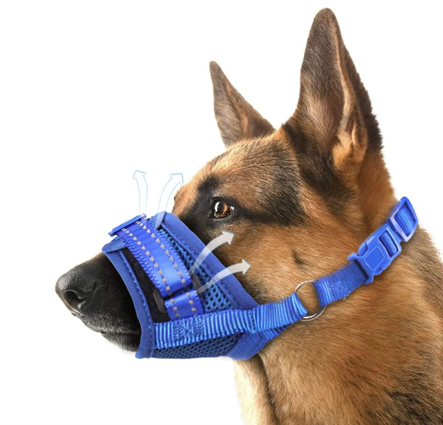 Намордник для собак ForDogs. Синий: нейлоновый, сетчатый, регулируемый. L - фотография № 1
