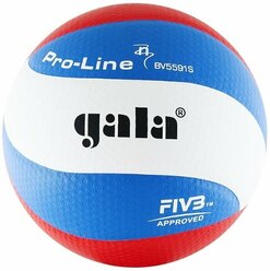 Волейбольный мяч Gala Pro-Line 10 FIVB белый/синий/красный