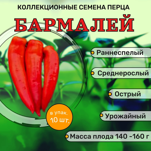 коллекционные семена перца острого аджика Коллекционные семена перца острого Бармалей