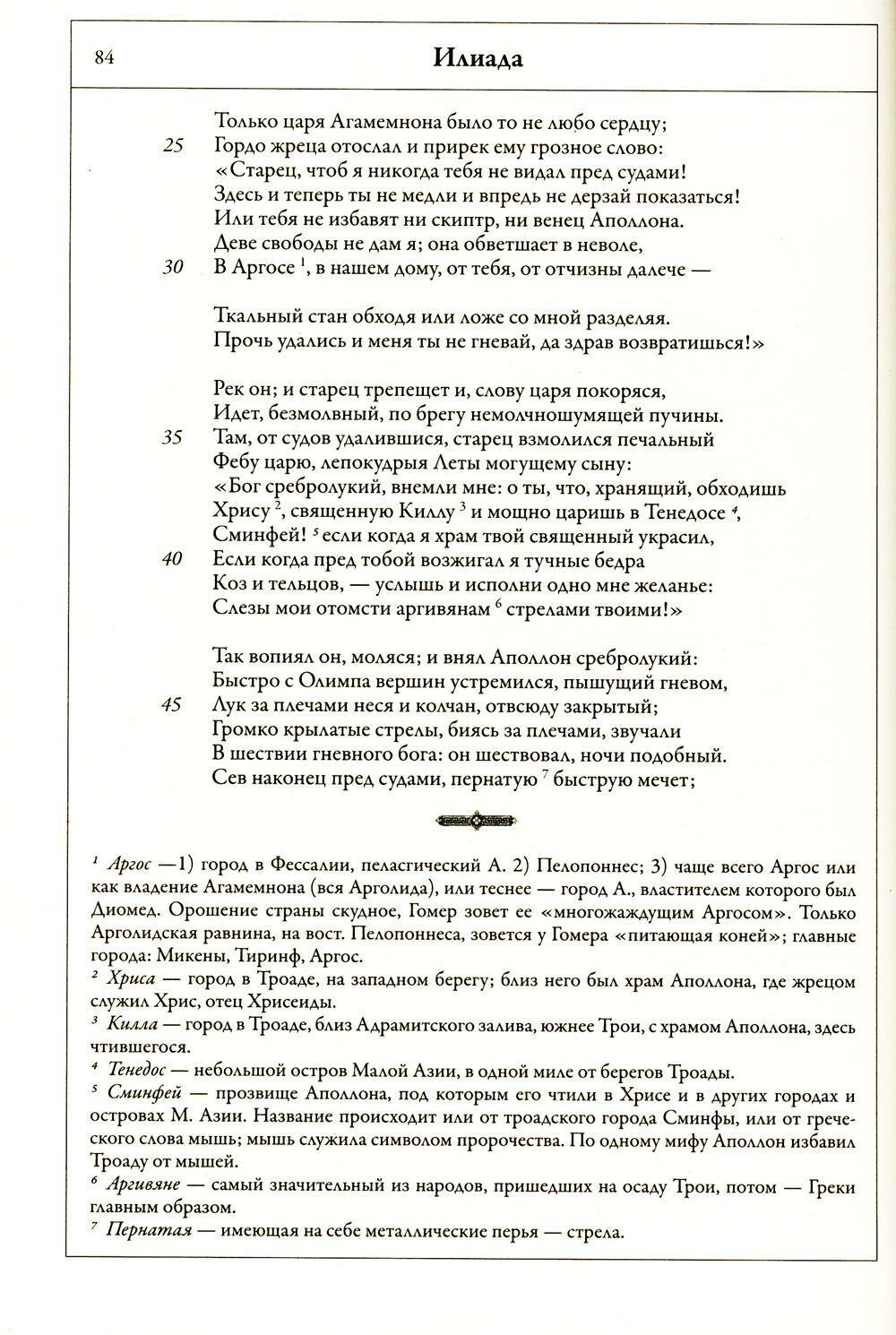 Илиада. Одиссея (Гомер) - фото №8