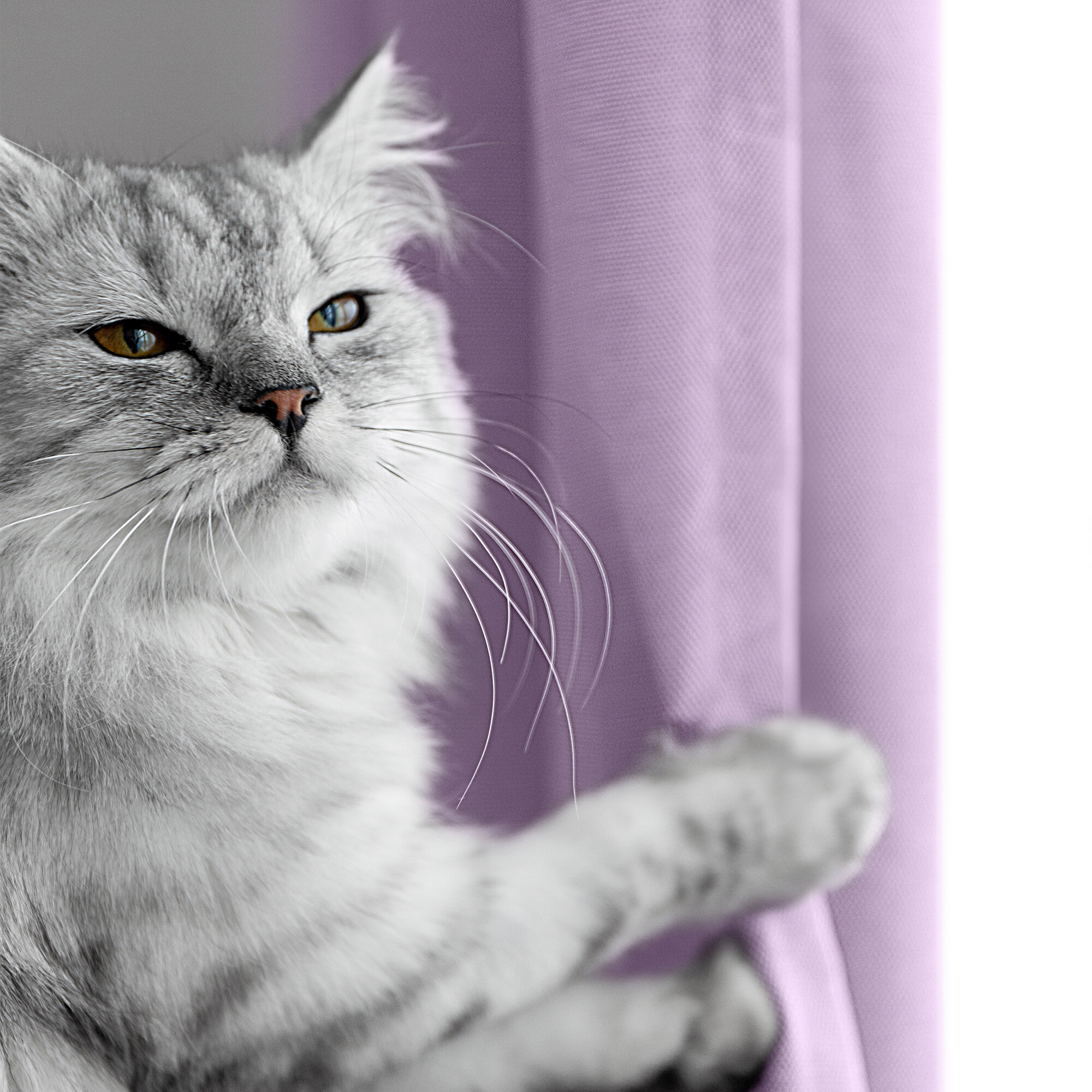 Штора Волшебная Ночь 165х270 см рогожка Сирень 100% полиэстер