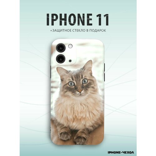 Чехол Iphone 11 кот