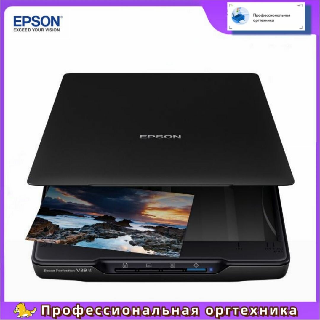 Epson Сканер, черный матовый, черно-серый