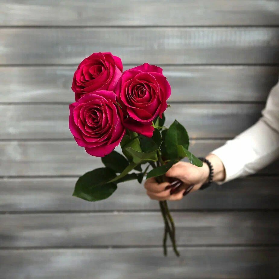 Букет Маркет "3 малиновых розы Эквадор" монобукет высота 50см