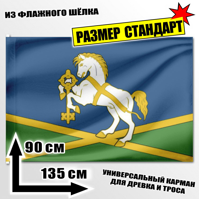 Флаг Дружинина 135x90 см.
