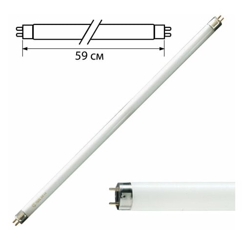 фото Лампа люминесцентная philips tl-d 18w/54-765, 18 вт, цоколь g13, в виде трубки 59 см, холодный дневной свет