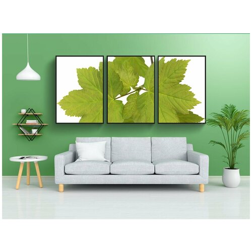 фото Набор модулных постеров для интерьера "листы, acer, png" 60x90 см. в тубусе, без рамки lotsprints