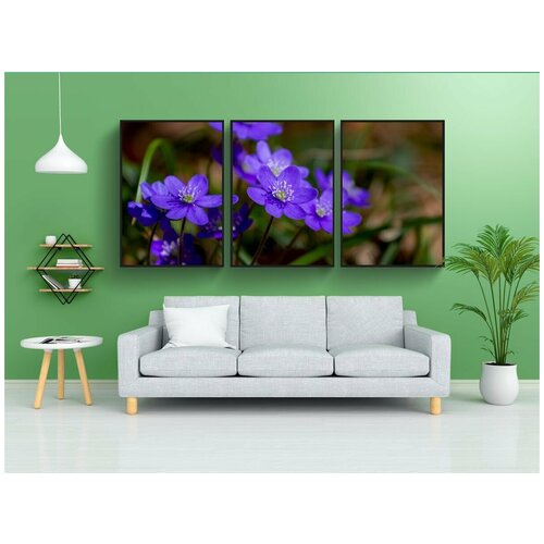 фото Набор модулных постеров для интерьера "цветок, печеночник, гепатит" 60x90 см. в тубусе, без рамки lotsprints