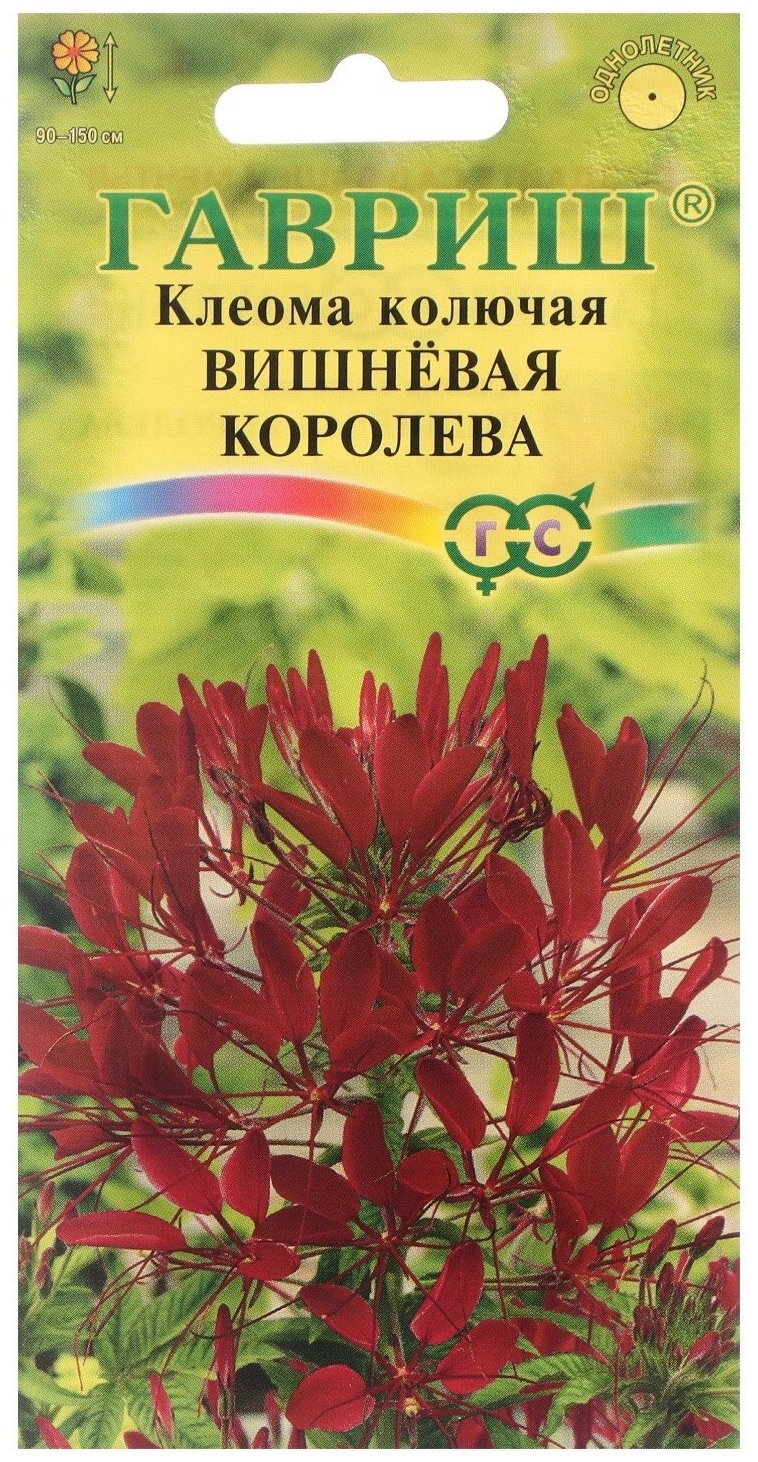 Семена цветов Клеома "Вишневая королева" 03 г