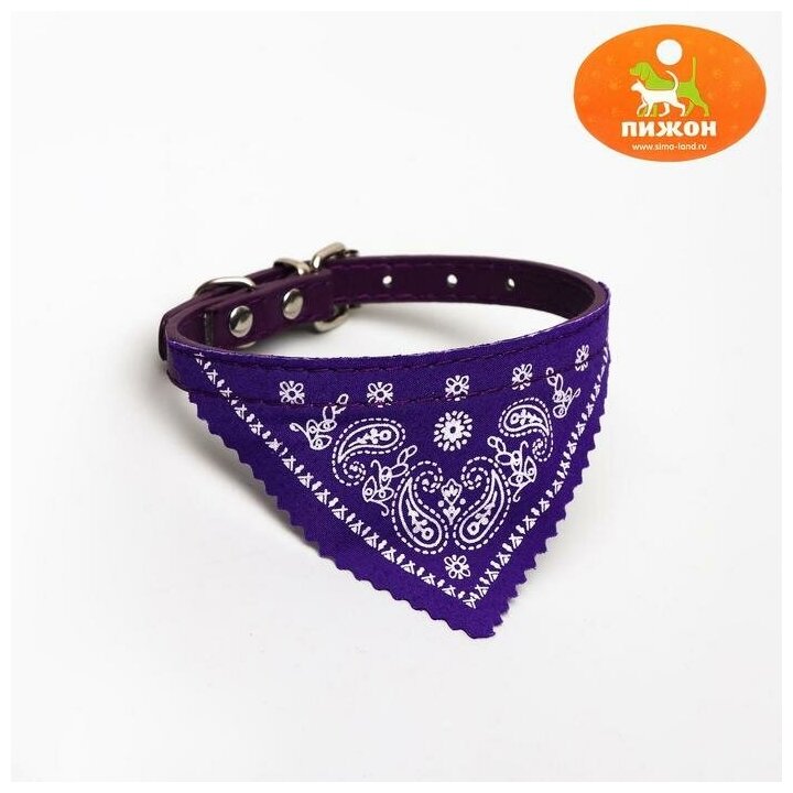 фото Пижон Ошейник с косынкой 32 х 1 см, ОШ 22-28, фиолетовый