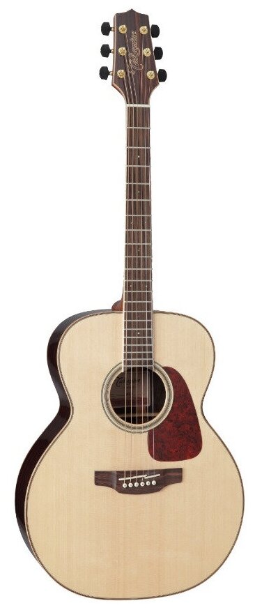 Акустическая гитара Takamine G90 SERIES GN93