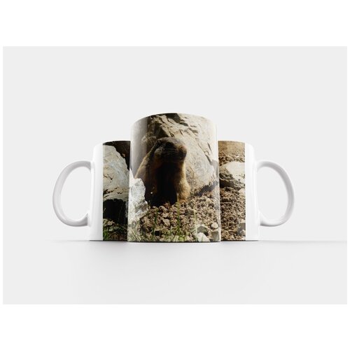 фото Кружка "сурок, грызун, альпийский сурок" 320 мл lotsprints