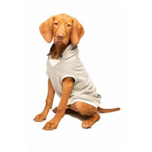 Расслабляющая толстовка Dog Gone Smart Relaxing hoodie с технологией BioBliss, 25 см, серый с оливковым