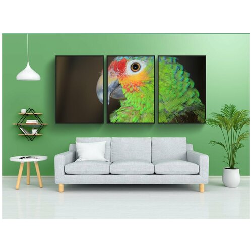 фото Набор модулных постеров для интерьера "попугай, ара, птицы" 60x90 см. в тубусе, без рамки lotsprints
