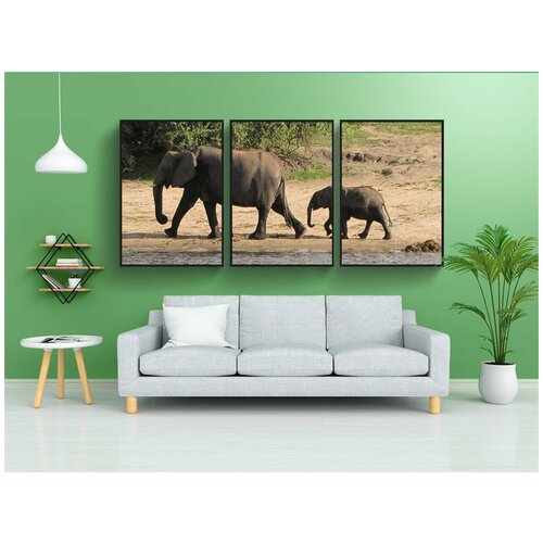 фото Набор модулных постеров для интерьера "семья слонов, ботсвана, чобе" 60x90 см. в тубусе, без рамки lotsprints