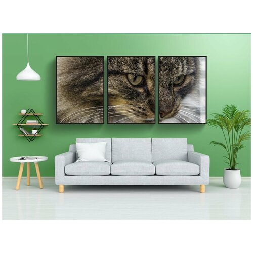 фото Набор модулных постеров для интерьера "норвежская лесная кошка, домашняя кошка, кот" 60x90 см. в тубусе, без рамки lotsprints