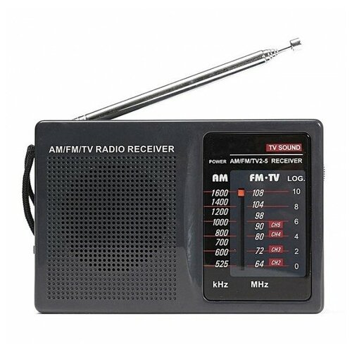 Tecsun R-202T 120000₽