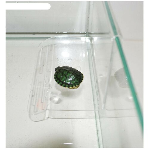 Пл-4 Плотик для черепашек (на стенку аквариума малый) h 10*9*15см (10 шт)