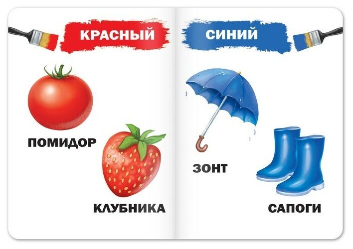 Набор обучающих картонных книг: Цифры… Азбука (комплект из 4 книг) - фото №4