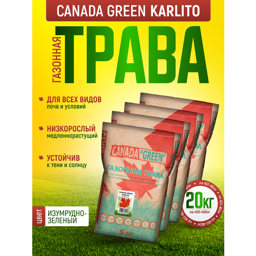 Газонная трава Канада Грин Низкорослая Карлито 20 кг / Canada Green Karlito / семена газона мятлик, овсяница