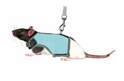 Шлейка-жилетка для крыс, полиэстер/нейлон