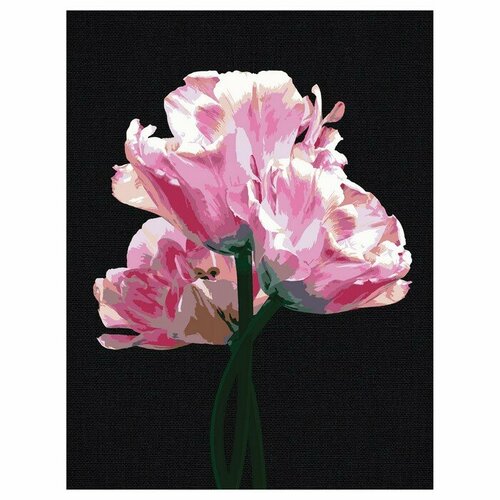 Картина по номерам на черном холсте Розовые цветы, 30 x 40 см картина по номерам 30 х 40 см яркие благоухающие цветы в вазе