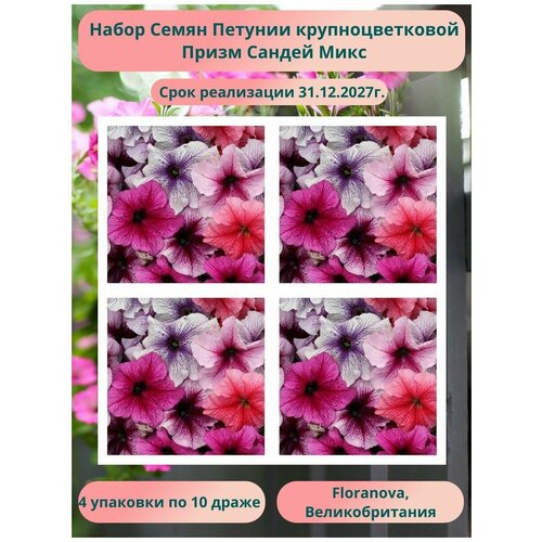 Петуния крупноцветковая Призм Сандей Микс 4 упаковки по 10 драже Floranova Великобритания 480₽