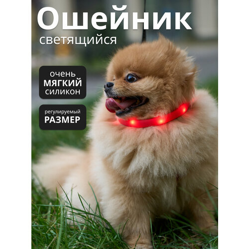 Светящийся светодиодный ошейник для собак, с USB зарядкой