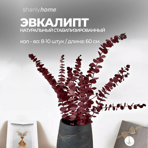 Сухоцветы для декора эвкалипт стабилизированный для уюта в доме букет из эвкалипта 1001₽