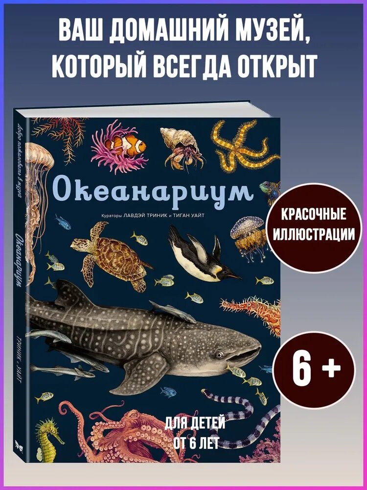 Книга "Океанариум", Триник Л, Азбука-Аттикус, Иллюстрированная Энциклопедия, 1 книга