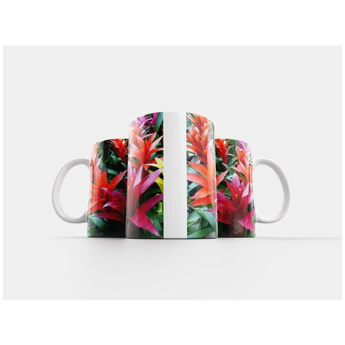 фото Кружка "цветок, guzmania, бромелия" 320 мл lotsprints
