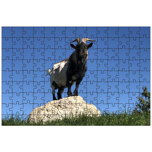 фото Магнитный пазл 27x18см."козел, животное, рога" на холодильник lotsprints