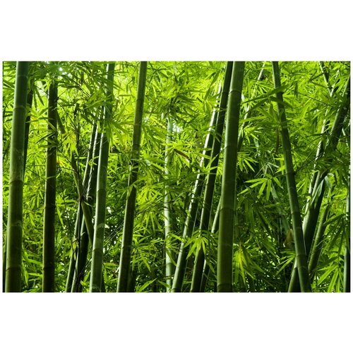 Флизелиновые фотообои Уютная стена Ветер в бамбуковом лесу 410х270 см с текстурой Песок