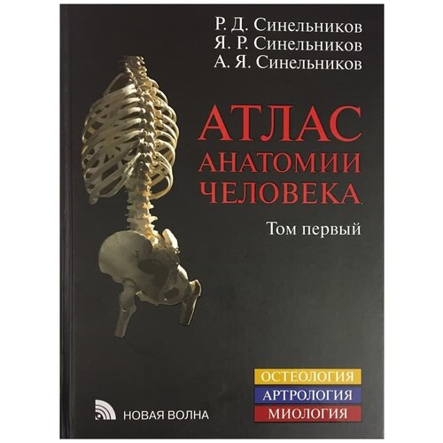 Атлас анатомии человека. Том 1. Учение о костях, соединениях костей и мышцах. Год издания 2021