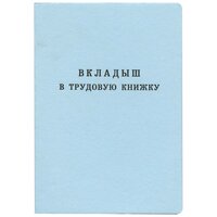 Бланк документа "Вкладыш в трудовую книжку", 88х125 мм, гознак