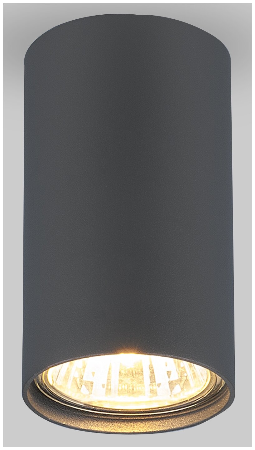 Спот / Накладной потолочный светильник Elektrostandard 1081 GU10 GR графит (5256)