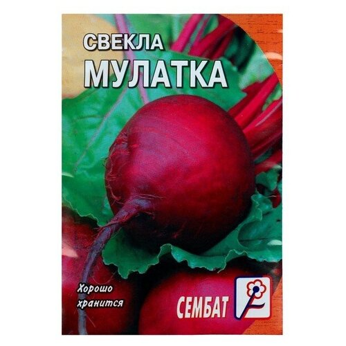 Семена Свекла "Мулатка", 2 г (6 шт)