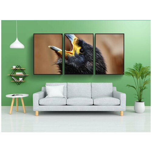 фото Набор модулных постеров для интерьера "канюк, хищник, дикие птицы" 60x90 см. в тубусе, без рамки lotsprints